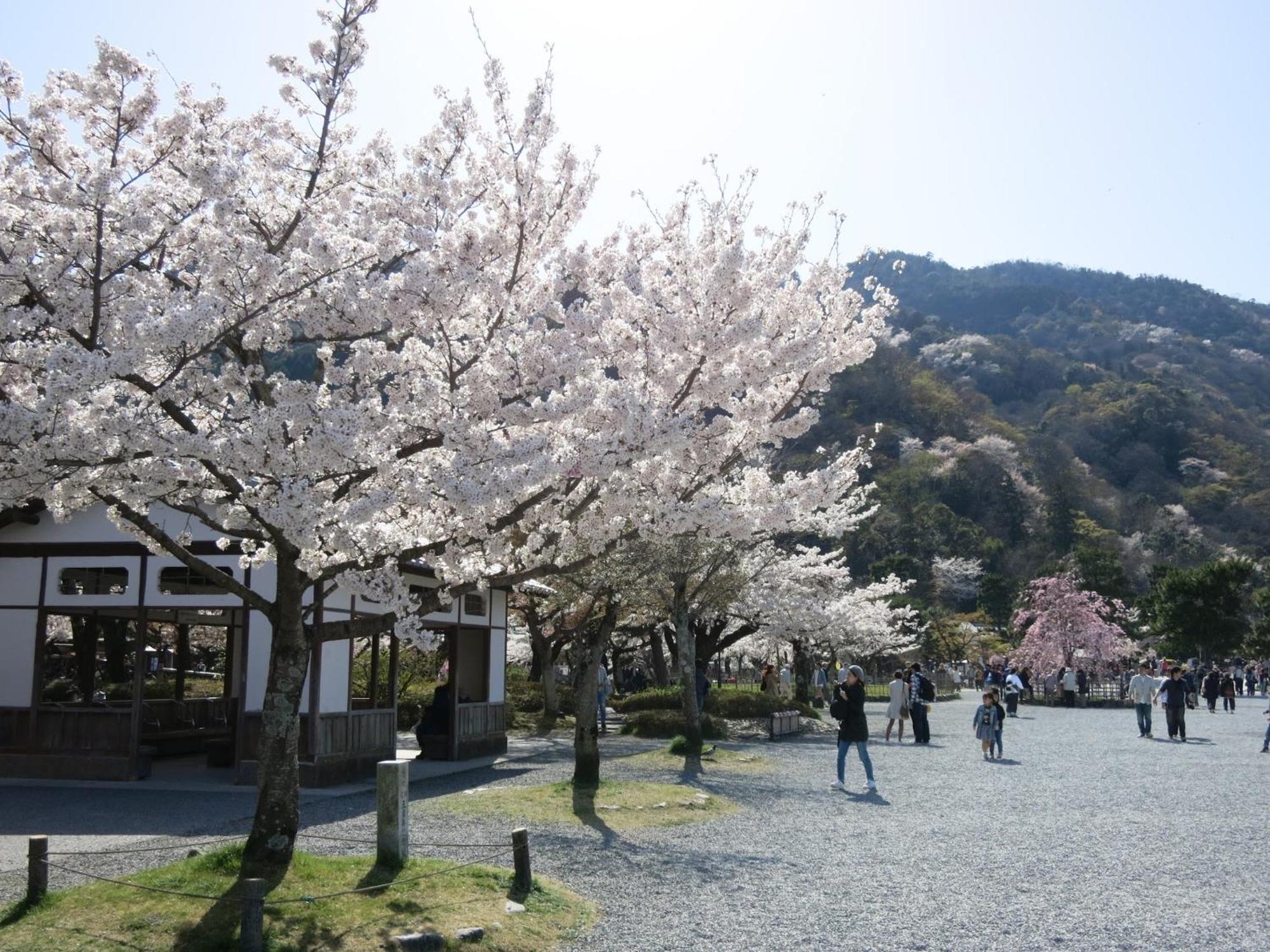 The Grandwest Arashiyama Quioto Exterior foto